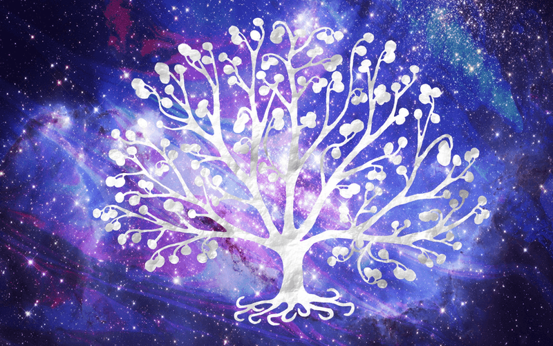 The Tree of Life The Tree of Life