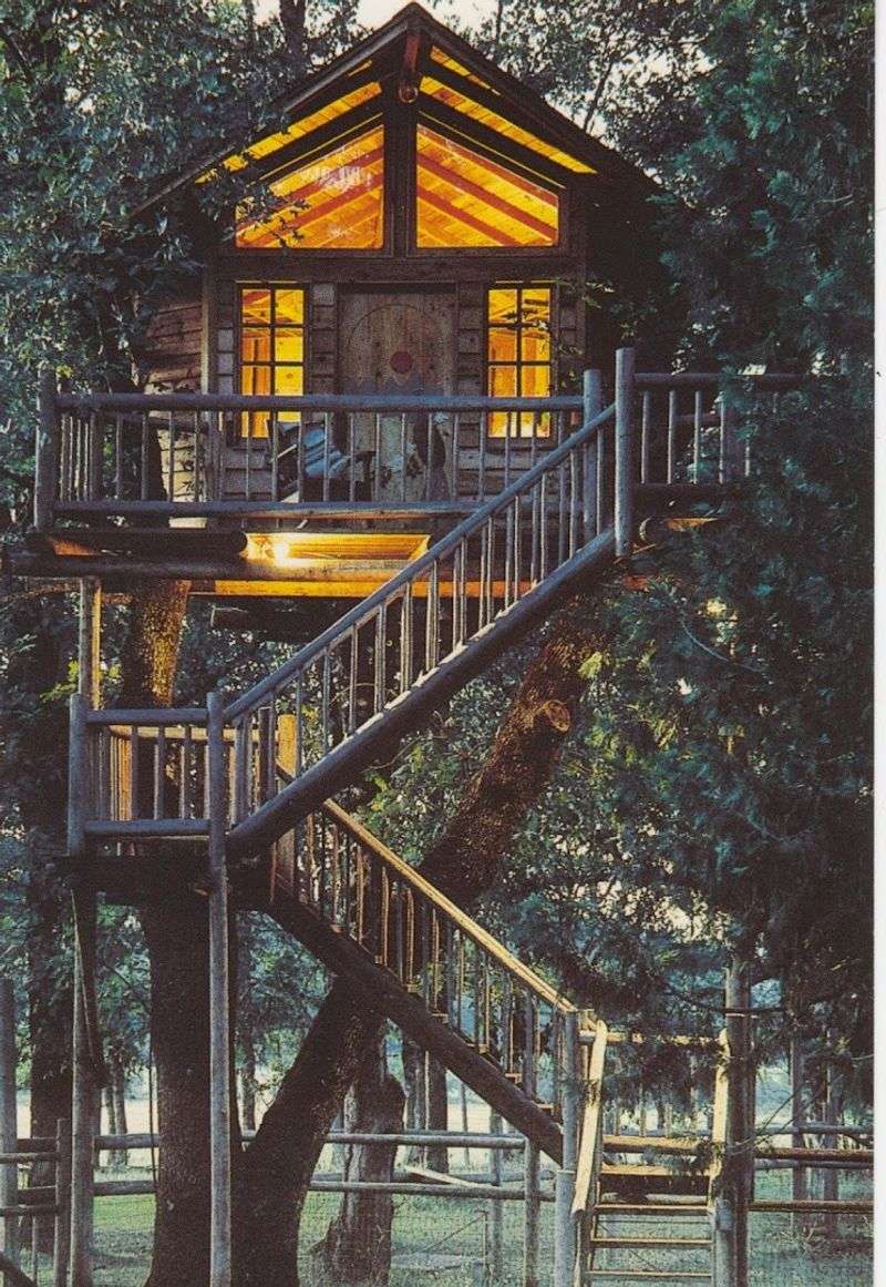 The Treehouses Themselves