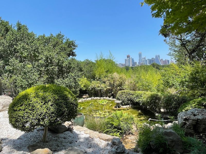 The Views of the Austin Skyline You Did Not Expect
