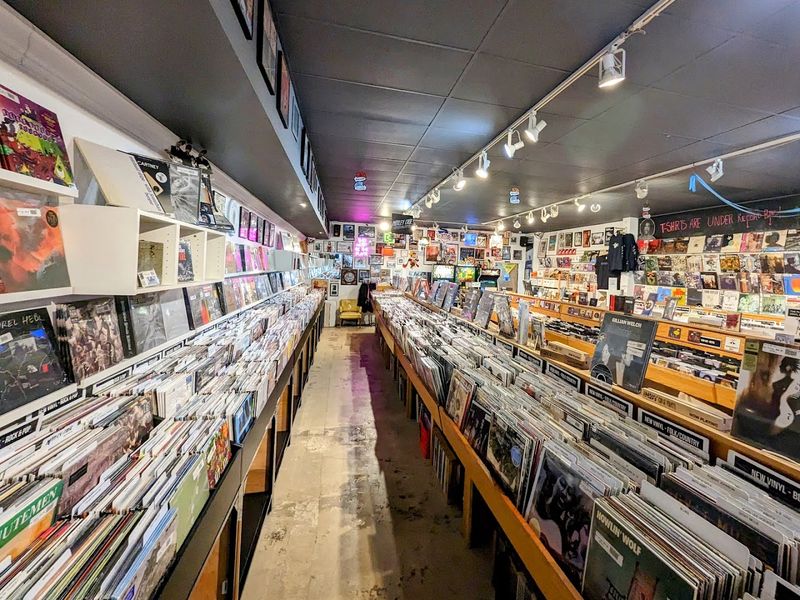 The Vinyl Selection That Keeps Collectors Coming Back The Vinyl Selection That Keeps Collectors Coming Back
