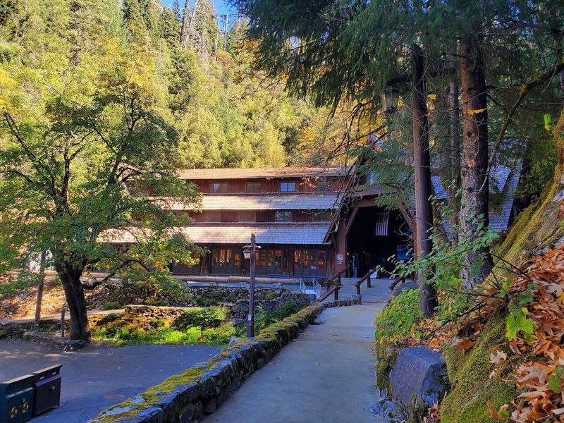 The Visitor Center: Your First Stop and Best Resource The Visitor Center: Your First Stop and Best Resource