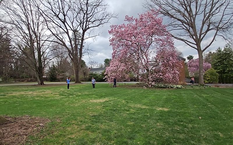 The Volunteers Keeping This Place Alive The Volunteers Keeping This Place Alive