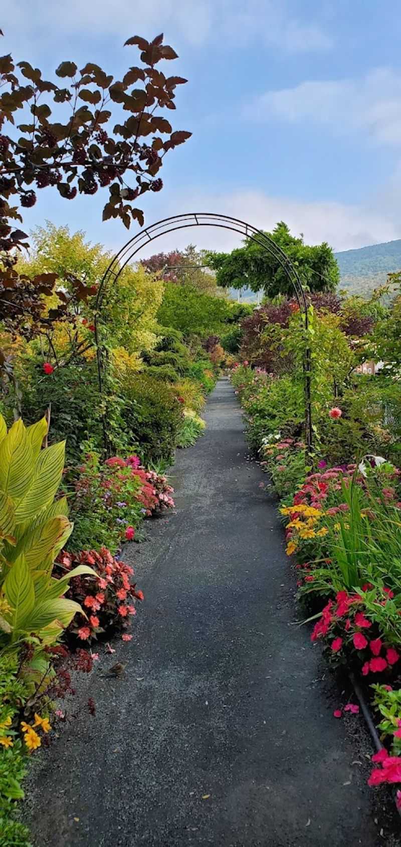 The Volunteers Who Keep It Blooming The Volunteers Who Keep It Blooming