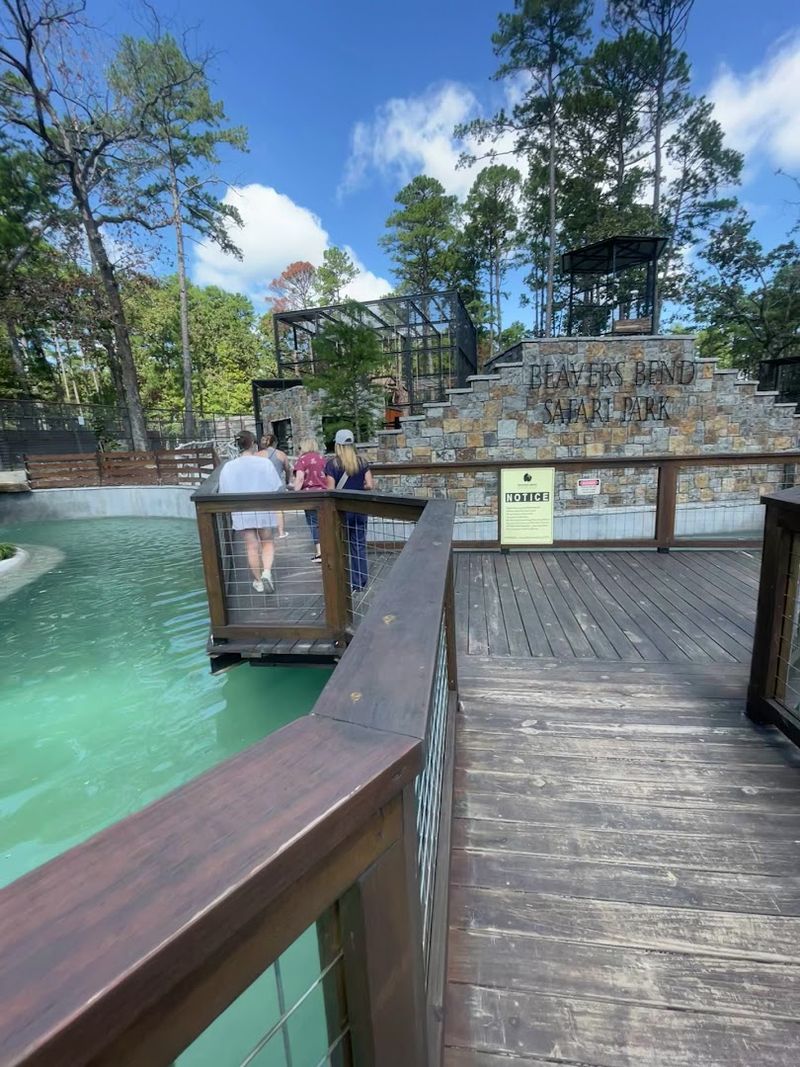 The Walk-Through Zoo That Surprises Everyone The Walk-Through Zoo That Surprises Everyone