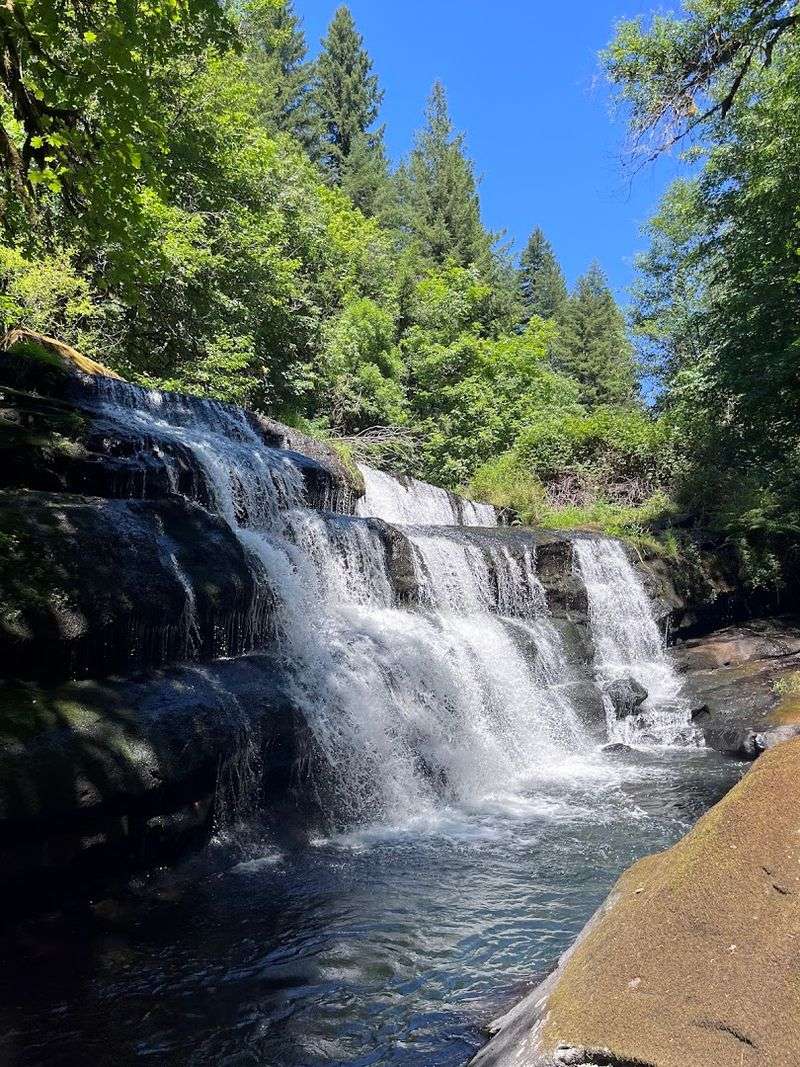 The Waterfall and Fish Ladder Worth Exploring The Waterfall and Fish Ladder Worth Exploring