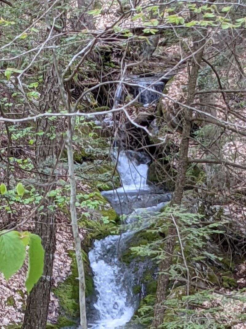 The Waterfalls Hidden Inside the Trails