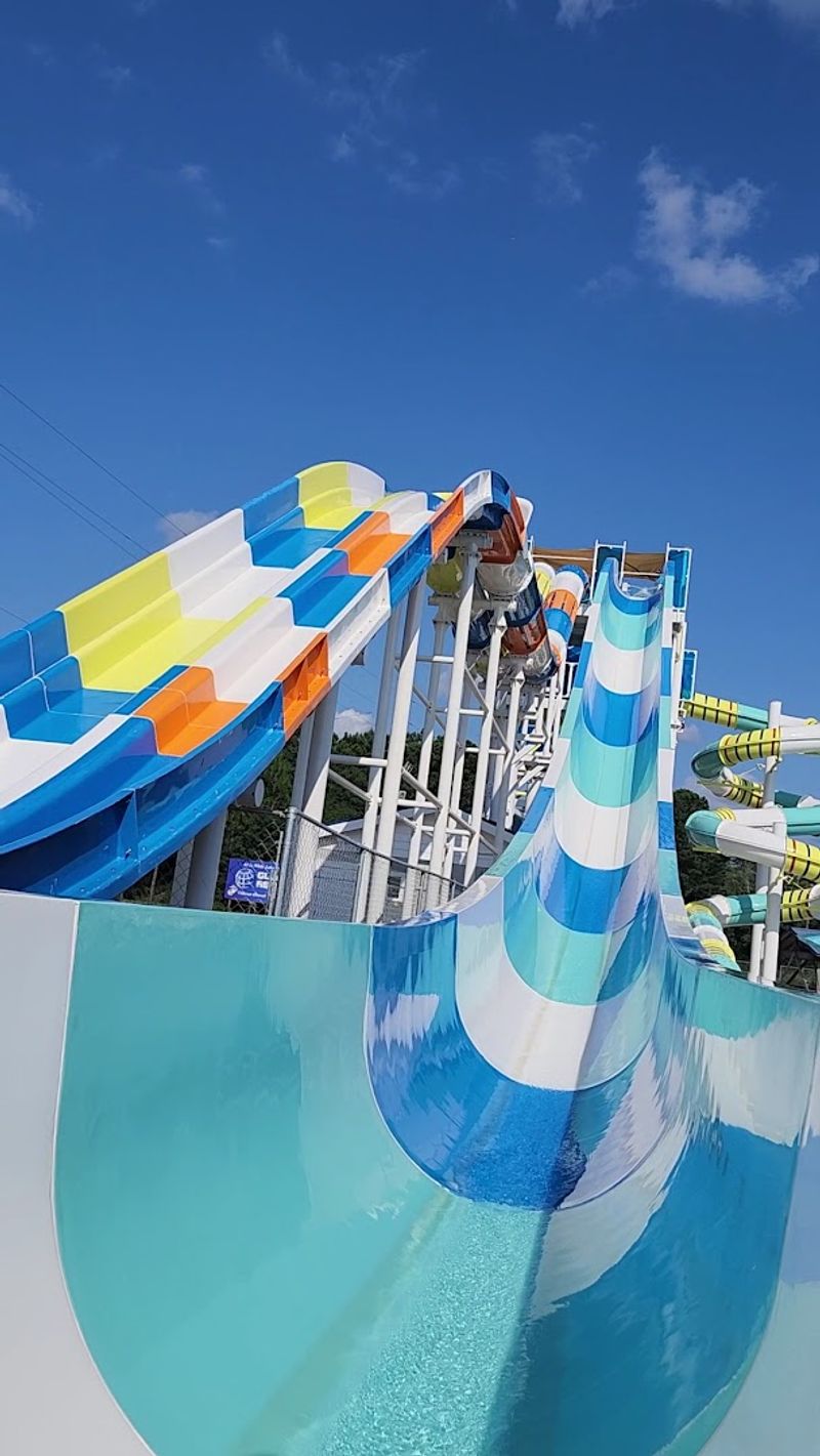The Waterslides: Fast, Fun, and Worth the Wait The Waterslides: Fast, Fun, and Worth the Wait