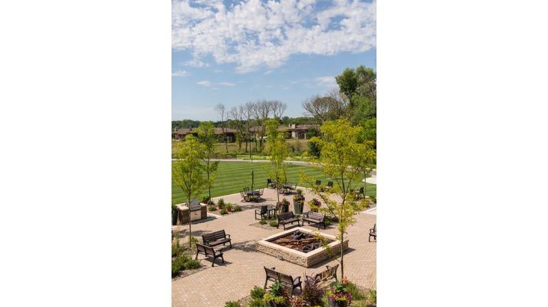 The Wetland Views That Set the Scene