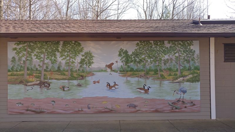 The Whale Wallow Nature Center: Where the Ecosystem Comes Alive The Whale Wallow Nature Center: Where the Ecosystem Comes Alive