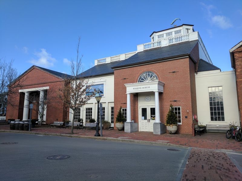The Whaling Museum at the Center of It All