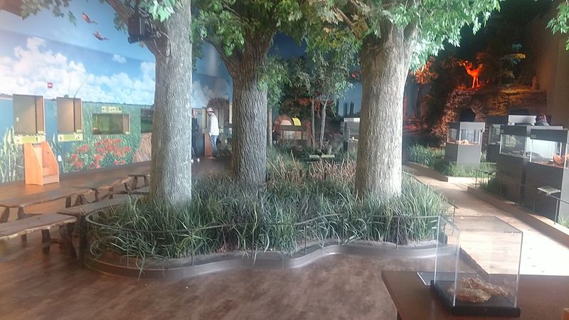 The What On Earth Native Habitat Exhibit