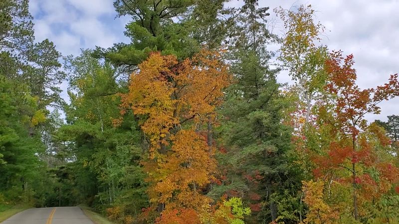 The Wilderness Drive That Changes Everything The Wilderness Drive That Changes Everything