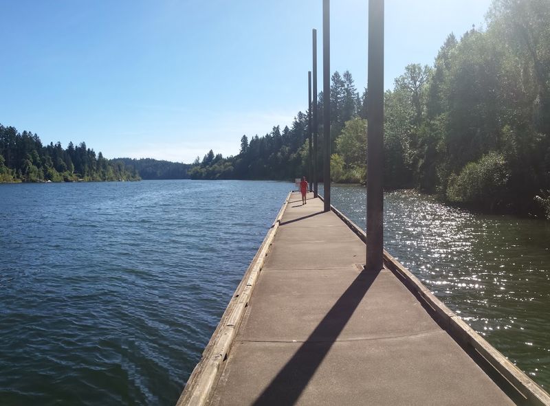 The Willamette River and the Dock