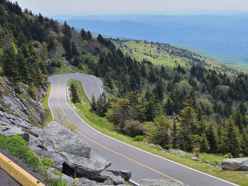 The Winding Drive and Forrest Gump Curve