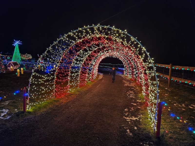 The Winter Lights Show That Surprises Every Time