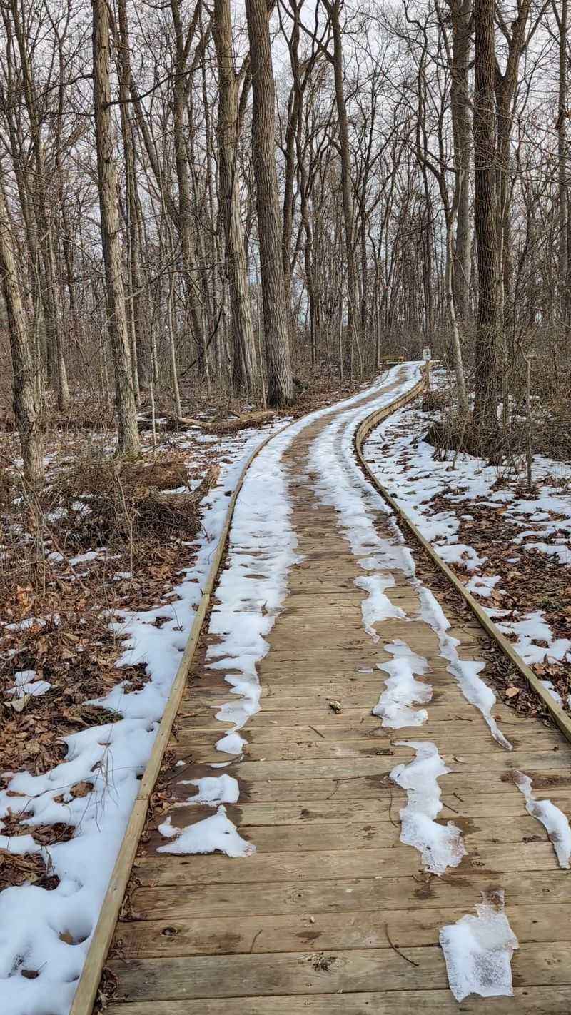 The Wooden Boardwalk That Crosses the Ancient Water The Wooden Boardwalk That Crosses the Ancient Water