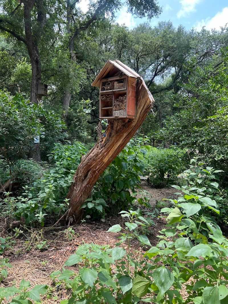 The Woodland Faerie Trail That Sparks Imagination