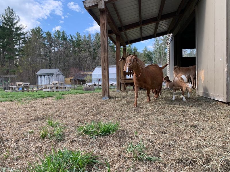 The Working Farm Side That Most People Do Not Fully Appreciate The Working Farm Side That Most People Do Not Fully Appreciate