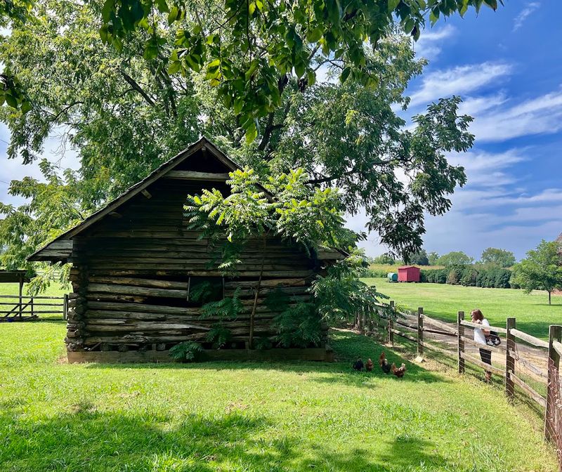 The Working Farm That Never Stopped Operating The Working Farm That Never Stopped Operating