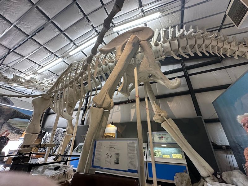 The World-Record Dinosaur That Barely Fits Inside The World-Record Dinosaur That Barely Fits Inside