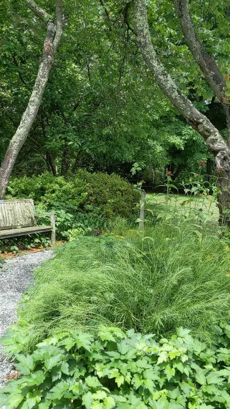 Themed Garden Spaces: Something for Every Kind of Plant Lover Themed Garden Spaces: Something for Every Kind of Plant Lover