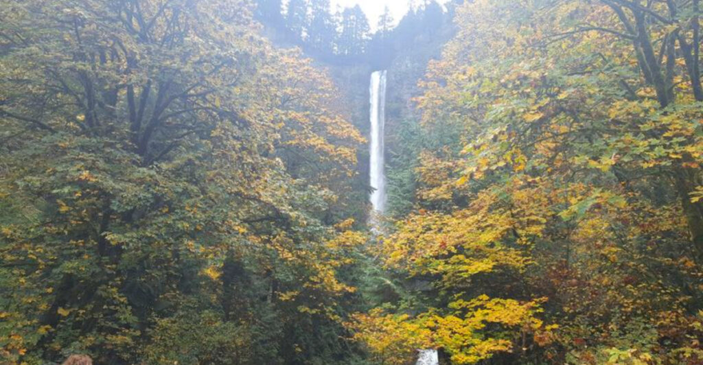 These 10 Easy Oregon Waterfall Hikes Pack Stunning Scenery Into Under Two Miles