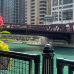 These 11 Riverside Cafés in Illinois Overlook Some of the State’s Most Beautiful Waterways