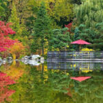 These 13 Illinois Day Trips From Chicago Feel Like Mini Vacations