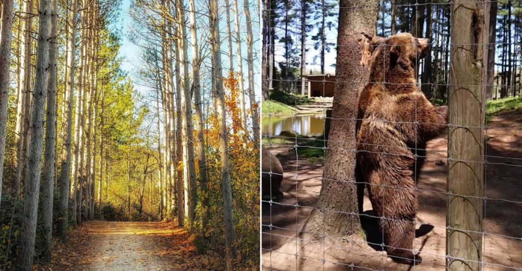 This 100-Acre Wisconsin Zoo Turns Wildlife Watching Into a Four-Mile Adventure
