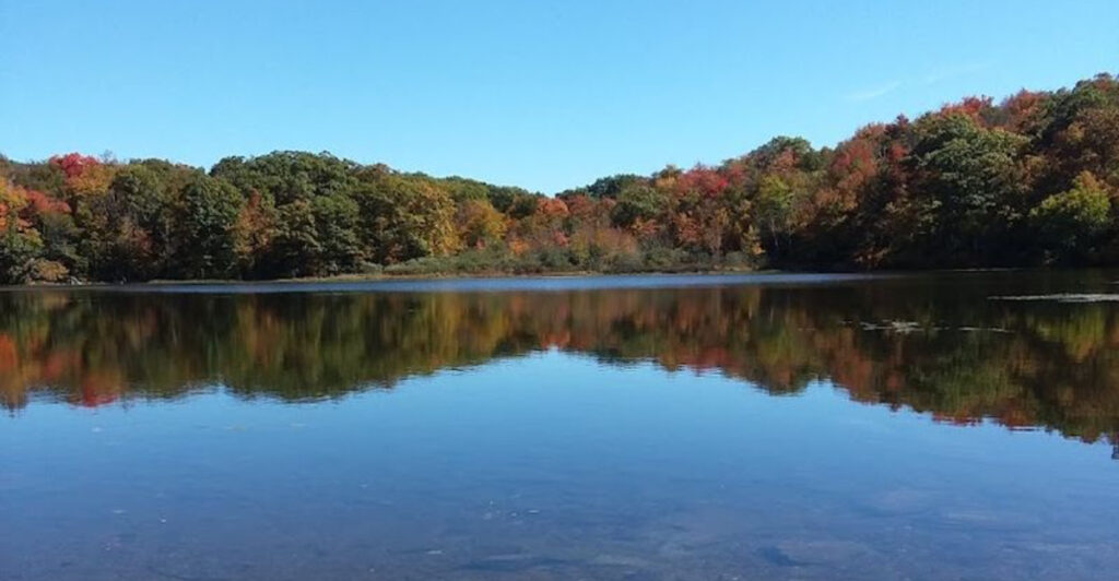 This 11,000-Acre Massachusetts Forest Holds The State’s Highest Natural Body Of Water