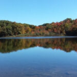 This 11,000-Acre Massachusetts Forest Holds The State’s Highest Natural Body Of Water