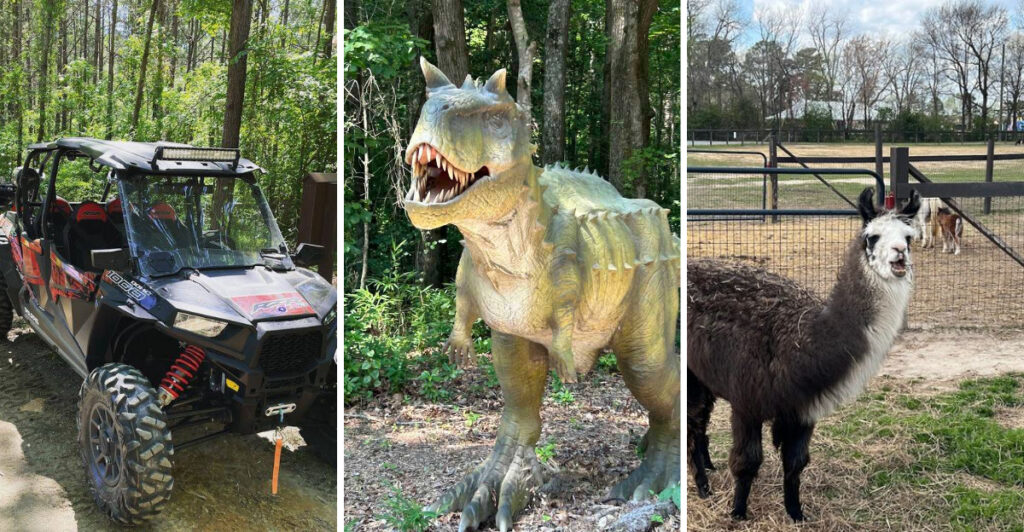 This 300-Acre Ranch in North Carolina Is One of the State’s Most Unique Family Attractions
