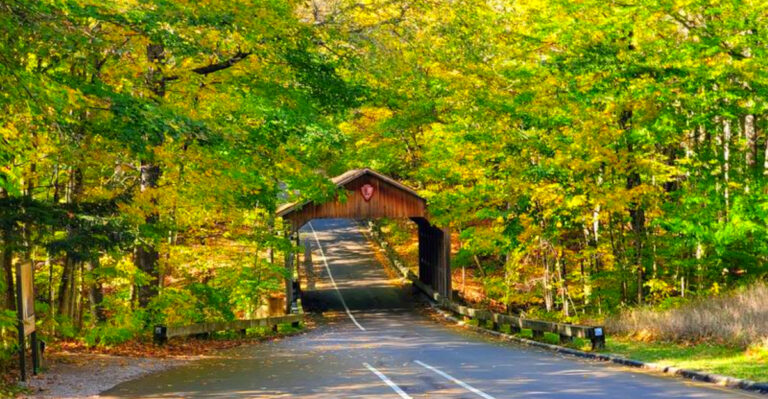 This 5-Mile Scenic Drive in Michigan Offers Some of the Most Beautiful Lake Michigan Views