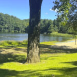 This 562-Acre Massachusetts Park Turns an Old Reservoir Into a Summer Escape