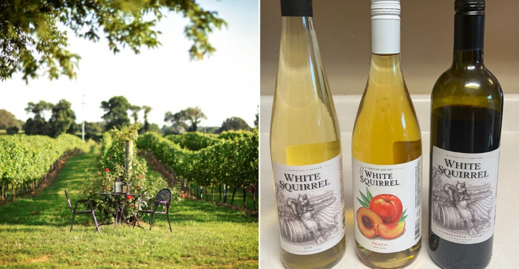 This 90-Acre Tennessee Farm Grows Grapes, Berries, And Award-Winning Wine