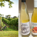This 90-Acre Tennessee Farm Grows Grapes, Berries, And Award-Winning Wine