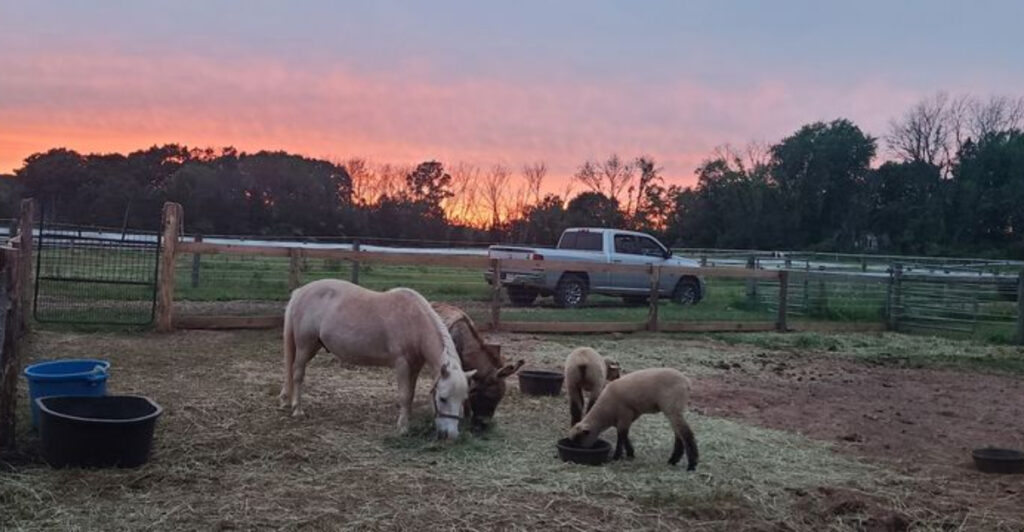 This Countryside Gem in New Jersey Blends Trail Rides, Events, and Fresh Meals