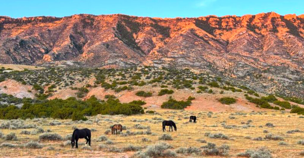 This Dramatic Montana Canyon Has Wild Horses, Towering Cliffs, and One of America’s Most Scenic Lakes