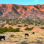 This Dramatic Montana Canyon Has Wild Horses, Towering Cliffs, and One of America’s Most Scenic Lakes