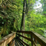 This Easy Hike in Oregon Delivers Big Rewards in Just 2.2 Miles
