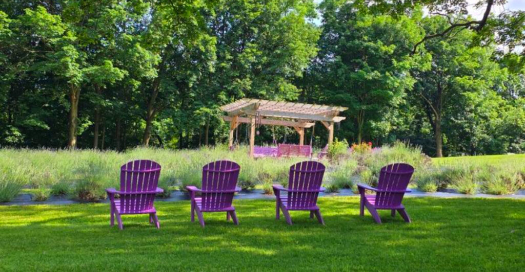 This Fragrant Pennsylvania Lavender Farm Feels Like a Slice of Provence Without Leaving the State