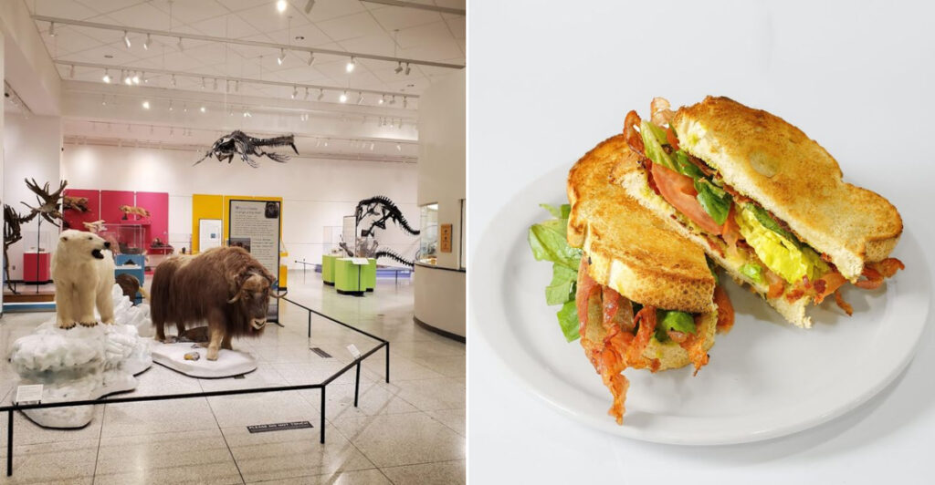 This Free Museum Brings Together 2 Million Objects, Remarkable History and a Legendary Local Favorite Nearby