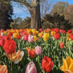 This Free Ohio Garden Has More Than 2,000 Plant Species to Explore
