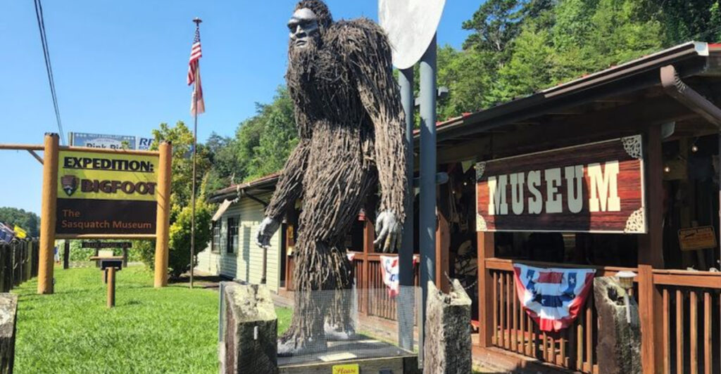This Georgia Museum Turns Bigfoot Lore Into A Full Mountain Road Trip Stop