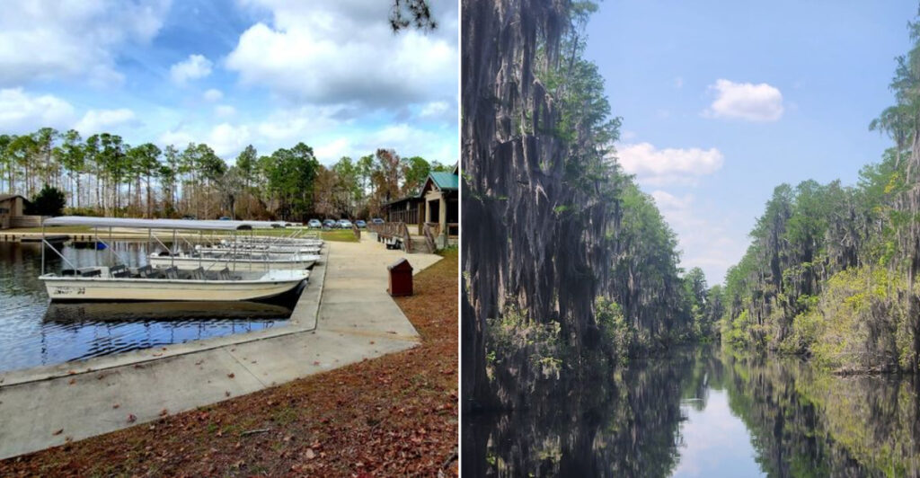 This Georgia Swamp Outfitter Takes Visitors Deep Into Okefenokee’s Blackwater World