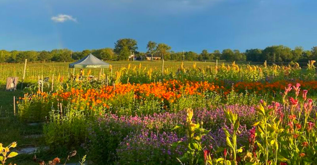 This Hidden Bucks County Farm Lets You Pick Flowers, Harvest Vegetables, and Take Home Fresh Organic Produce