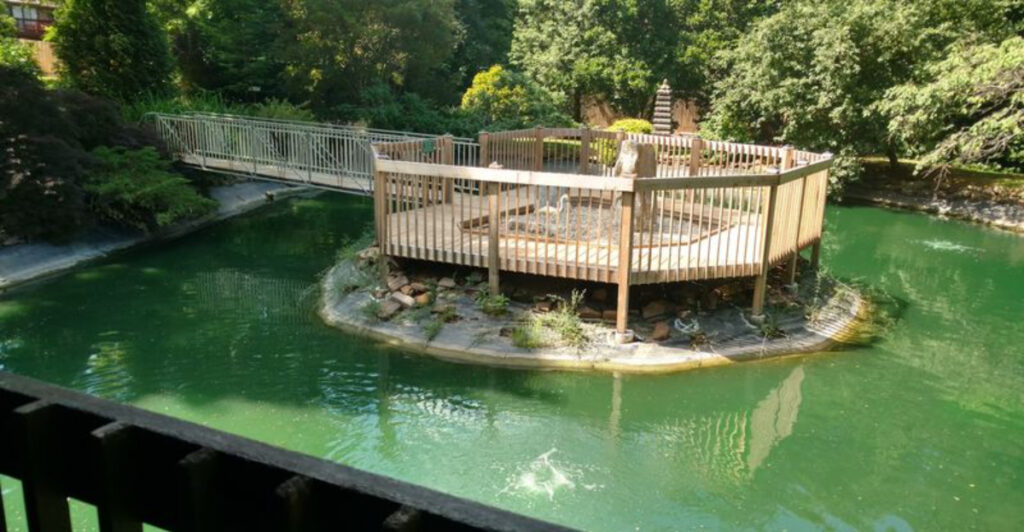 This Hidden Garden in Oklahoma Is Too Beautiful to Stay a Secret