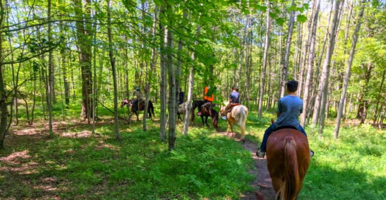 This Hidden Michigan Ranch Feels Like a Private Escape With Forest Trails and Friendly Horses