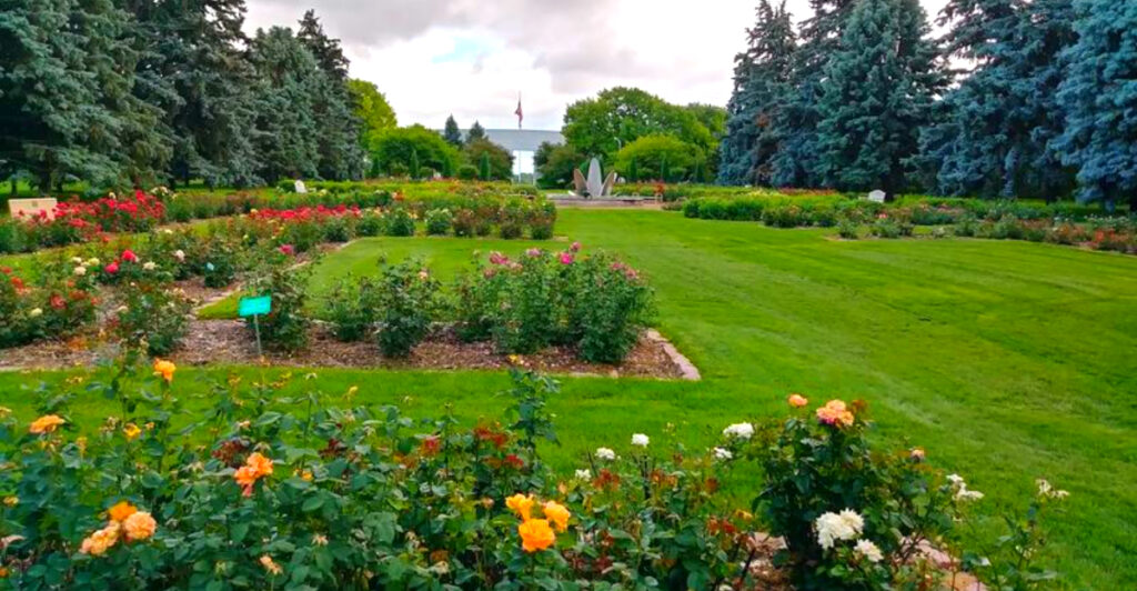 This Hidden Nebraska Garden Has More Than 1,000 Rose Bushes and One of Omaha’s Most Beautiful Summer Displays