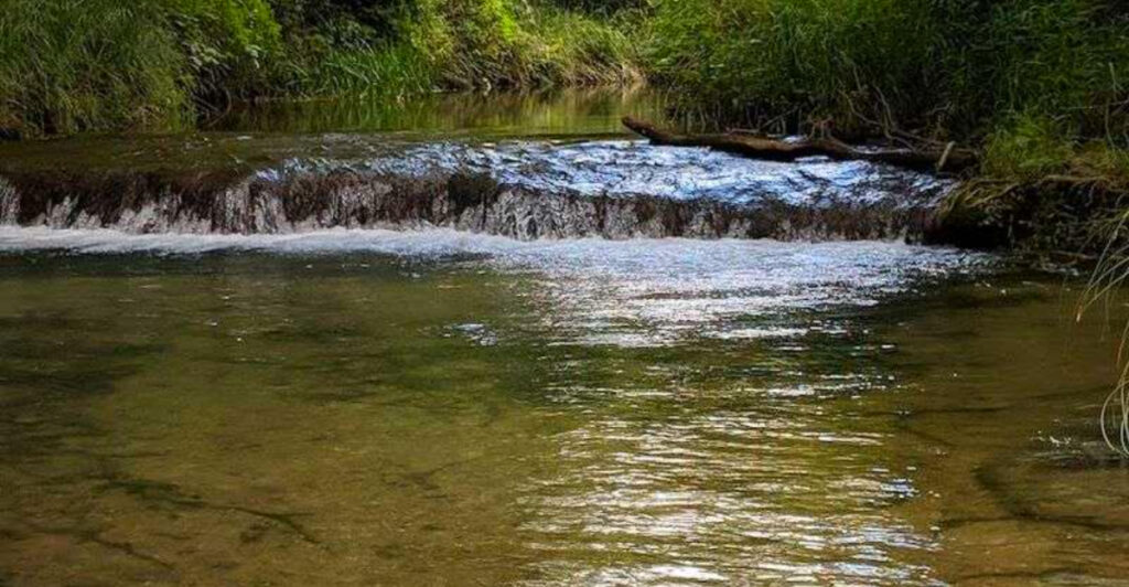 This Hidden Oklahoma Spring Creek Has Some of the Clearest Water in the State